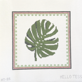 Monstera Mucha
